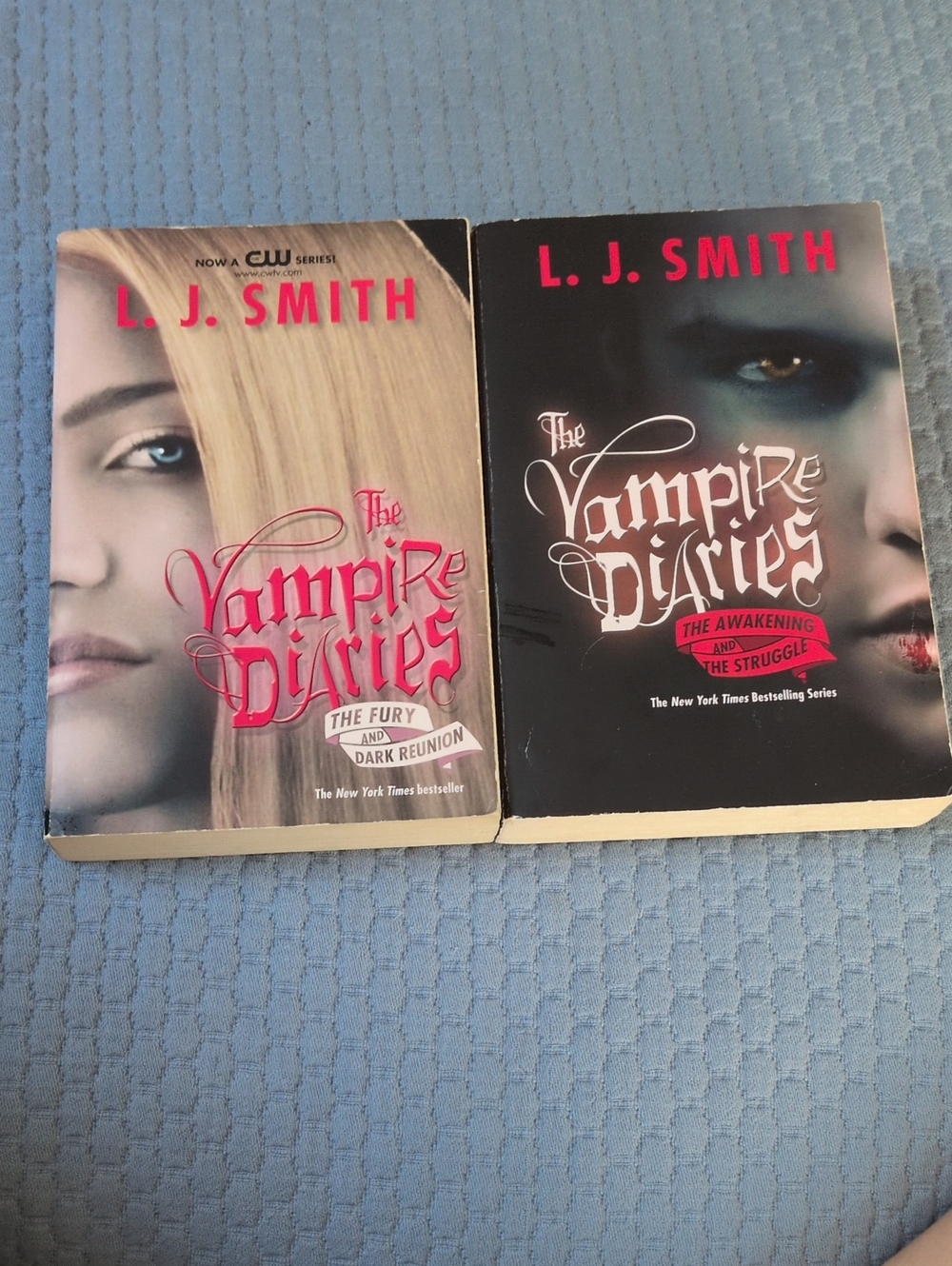 Vampire Diaries Book Set by L.J. Smith 4 Books In 2 Volumes